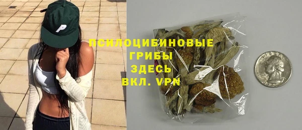 ешки Вязьма