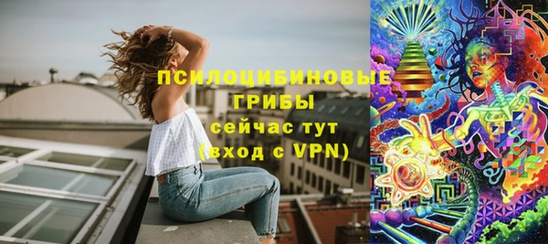 ешки Вязьма