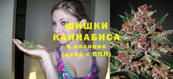 ешки Вязьма