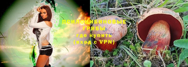 ешки Вязьма